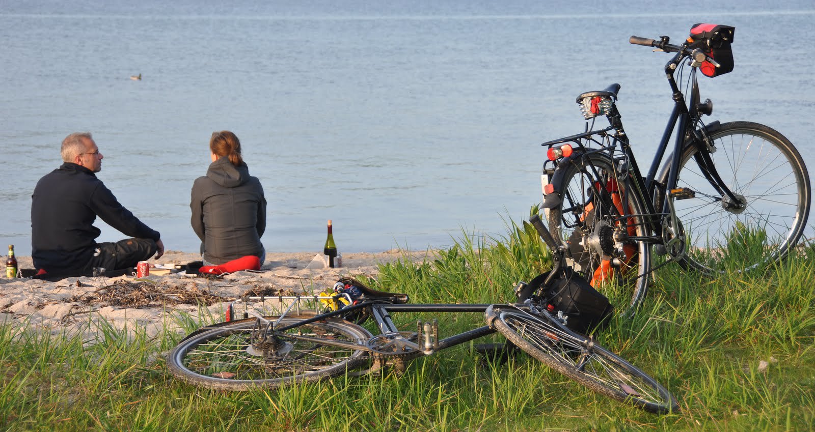 cyclists by the beach