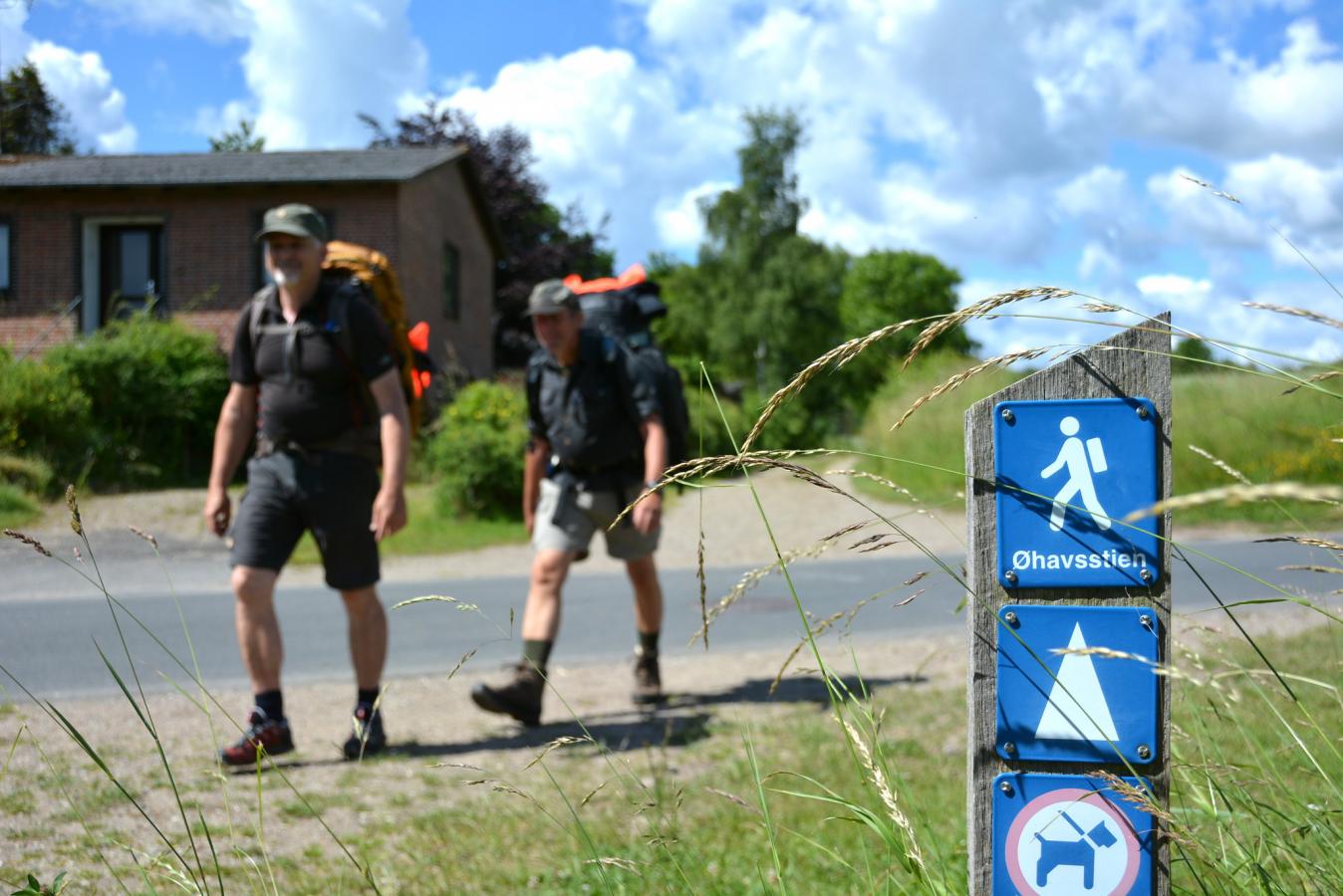Insel Meer Schild