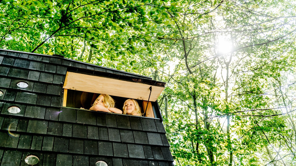 Shelter børn i vindue