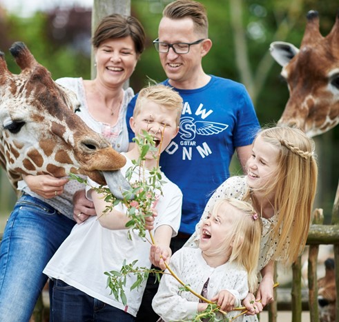 odense Zoo