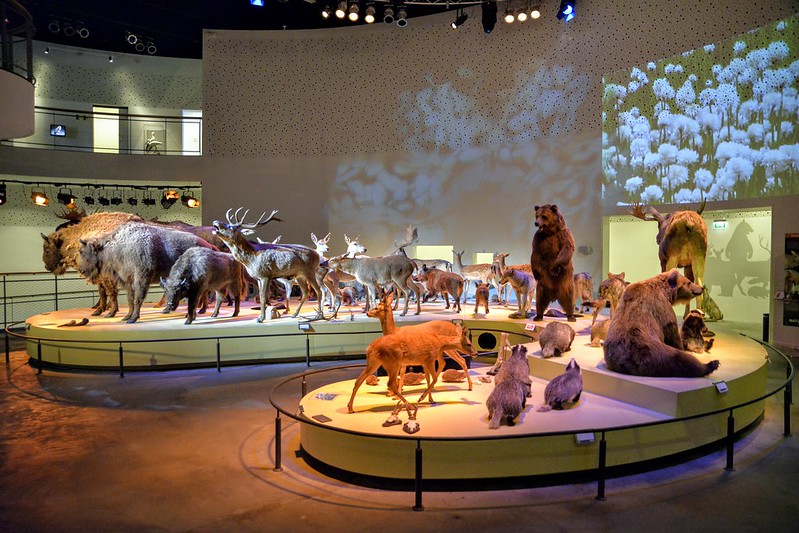 Naturama udstilling