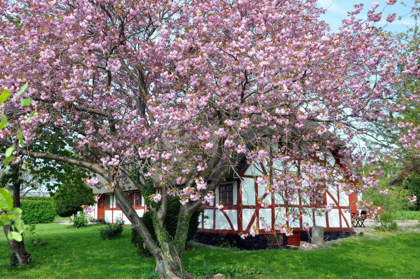 Forårsidyl