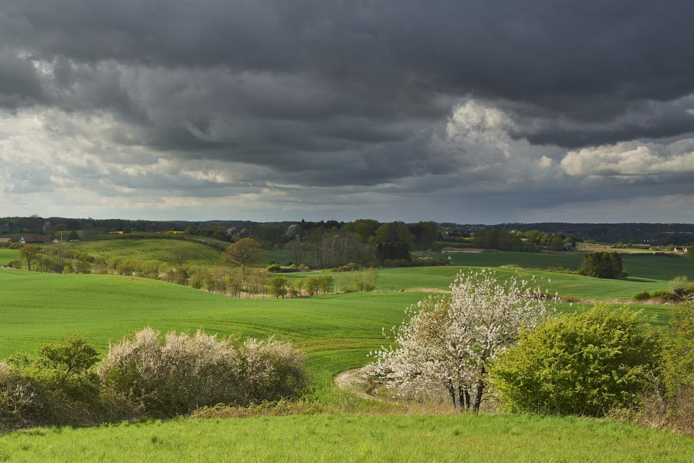 Natur