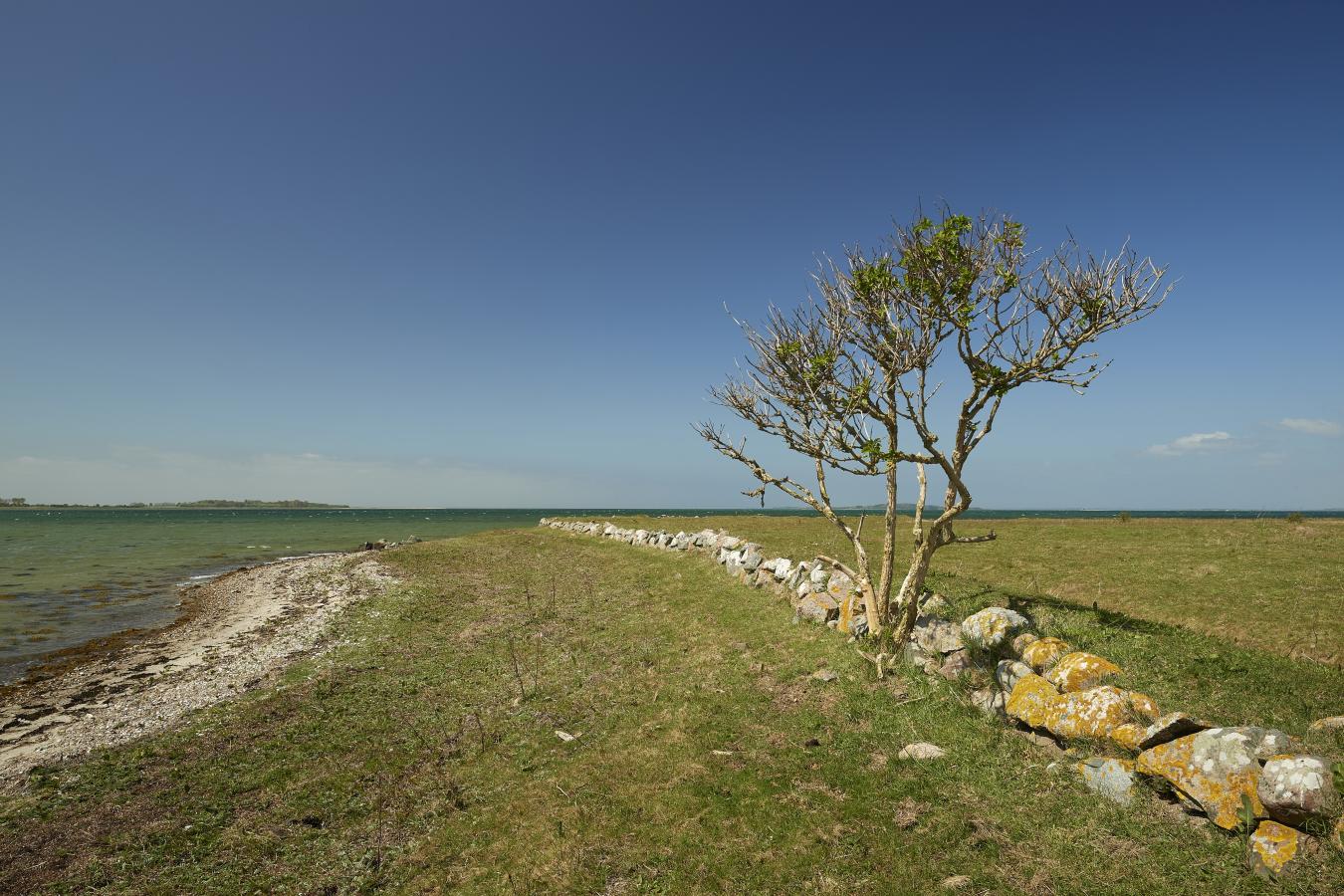 Drejø natur