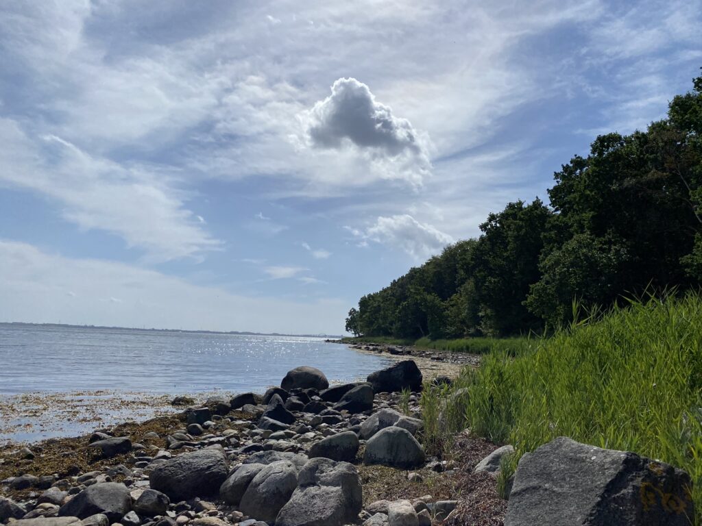 havet