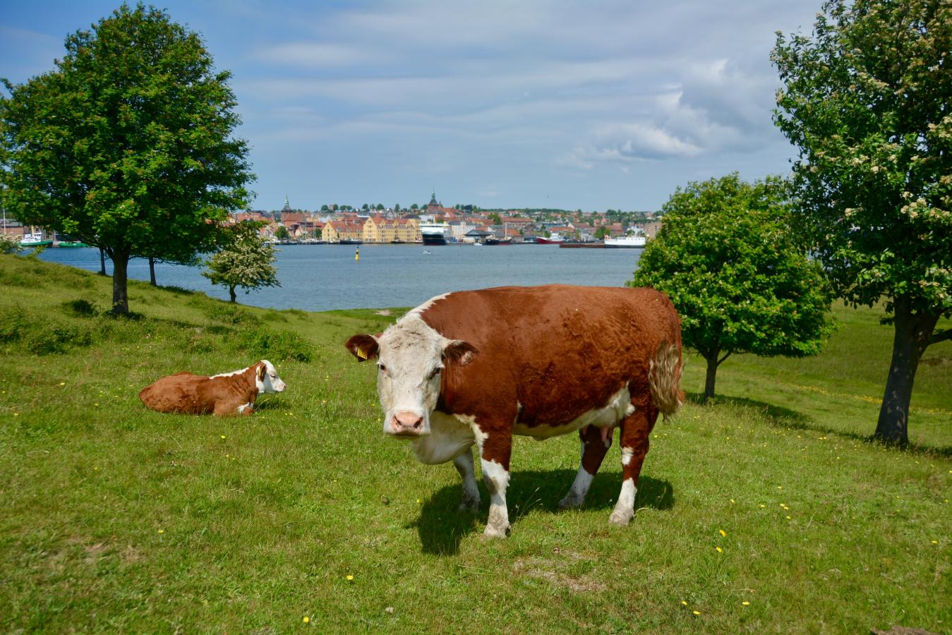 Skansen