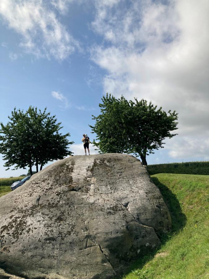 Damestenen