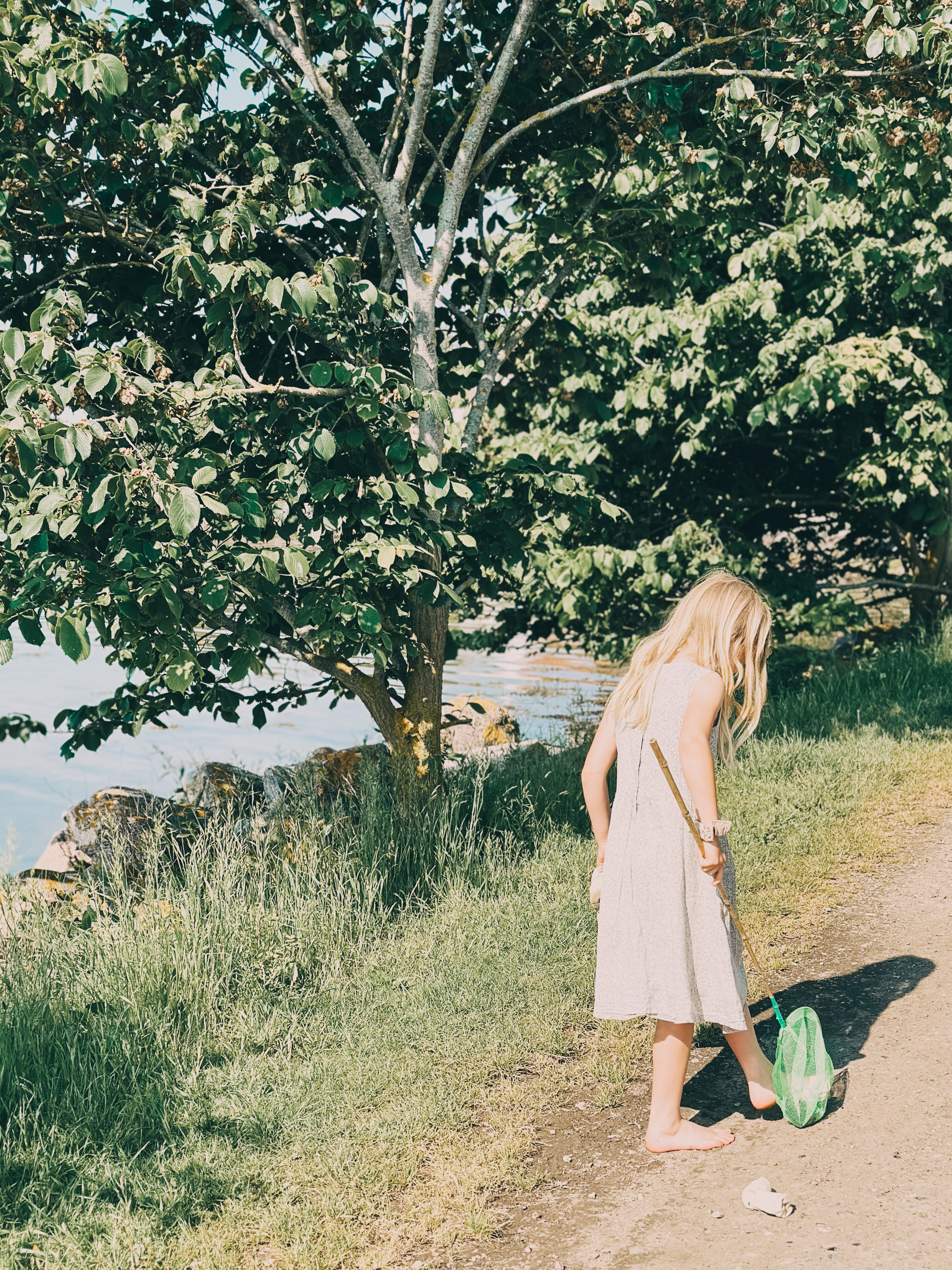 Sommer i Svendborg