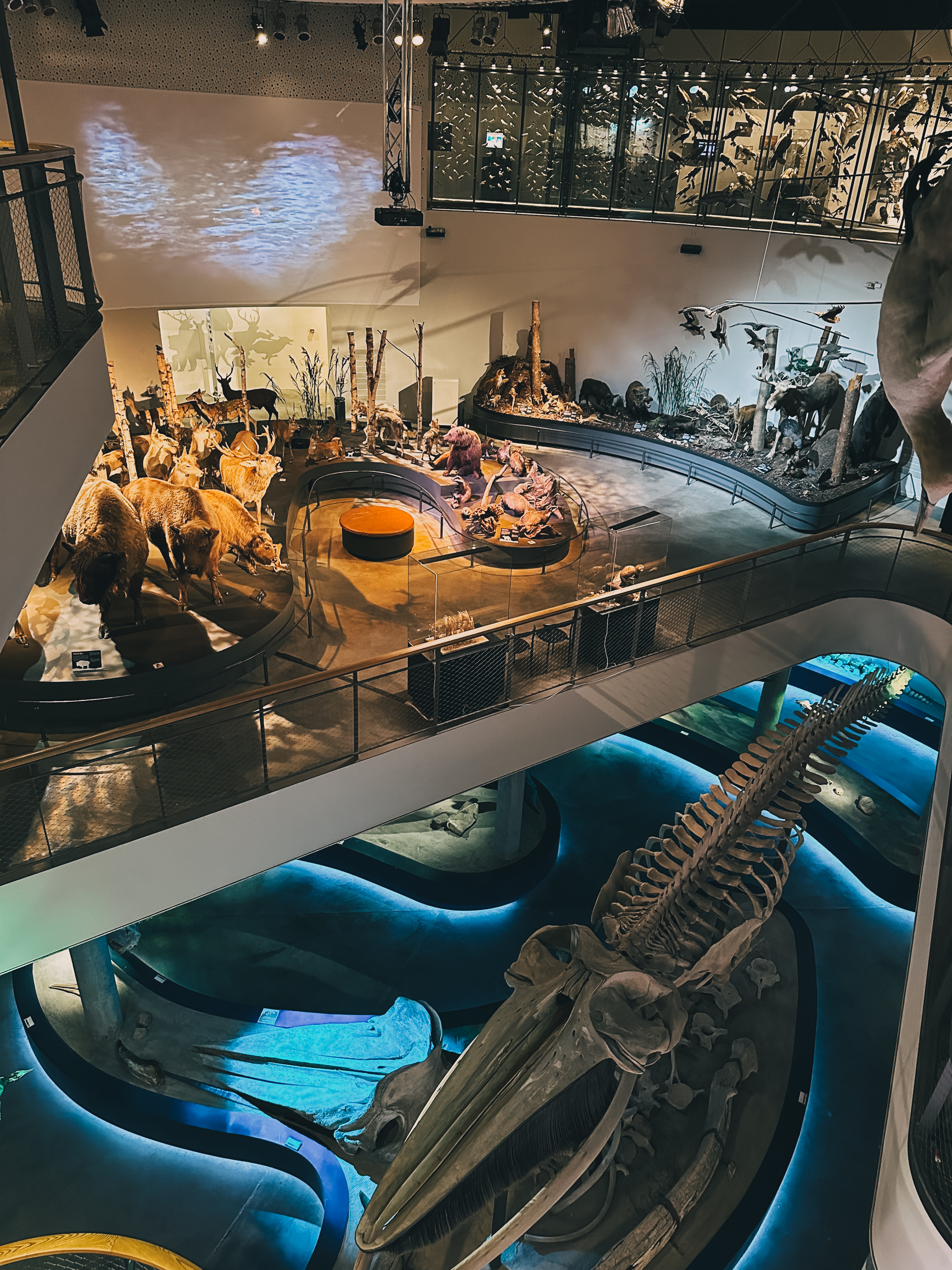 Naturama, Svendborg