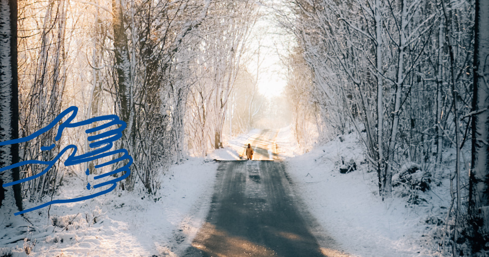 Vinter, Sne, skov