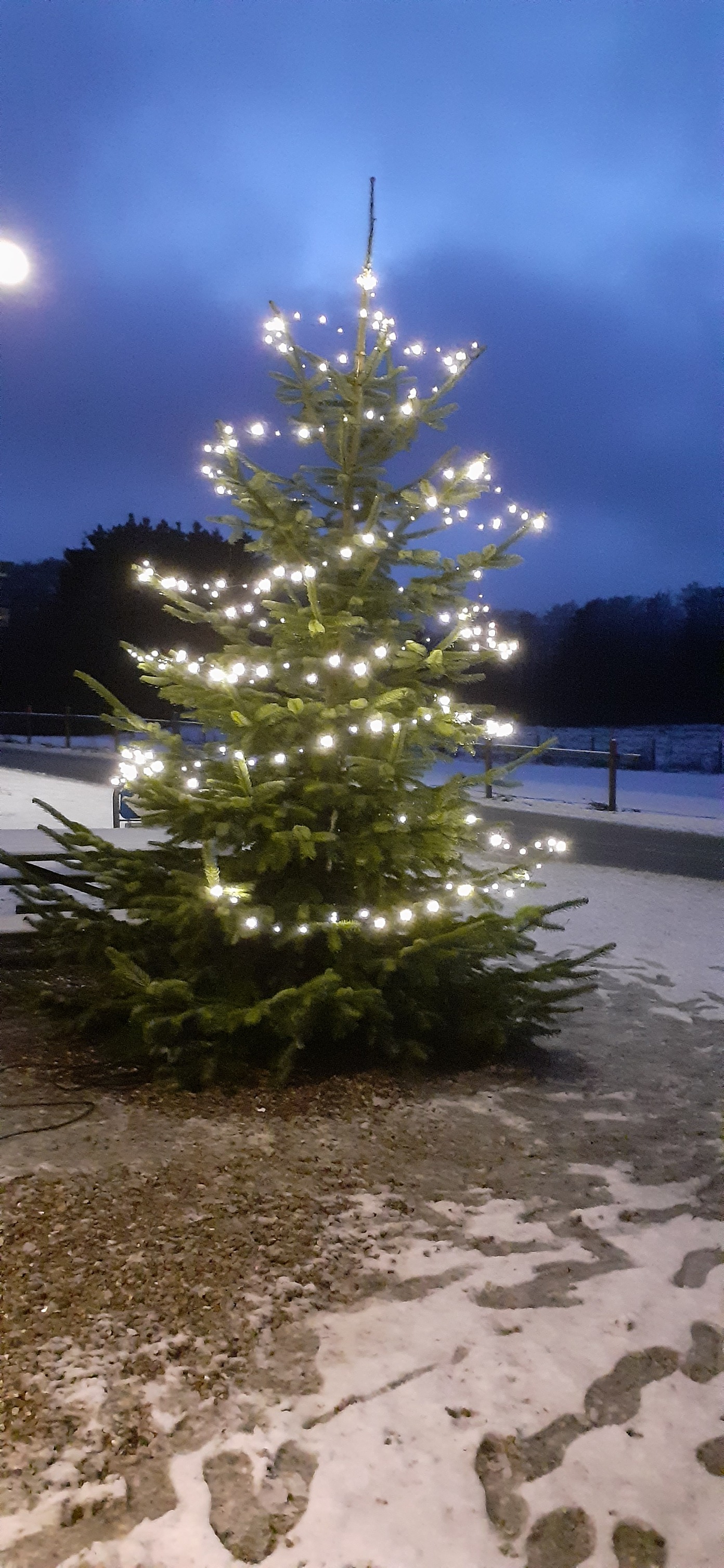 Juletræ, julelys