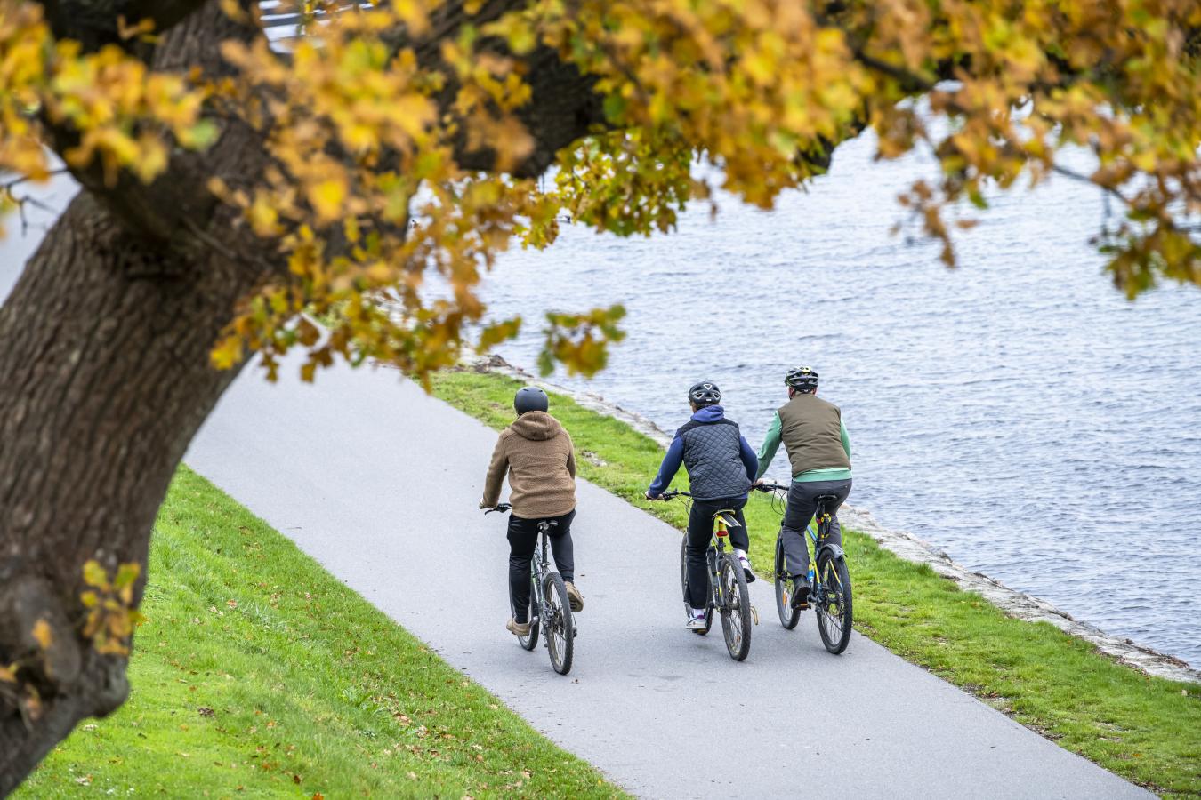cykel, efterår, svendborg