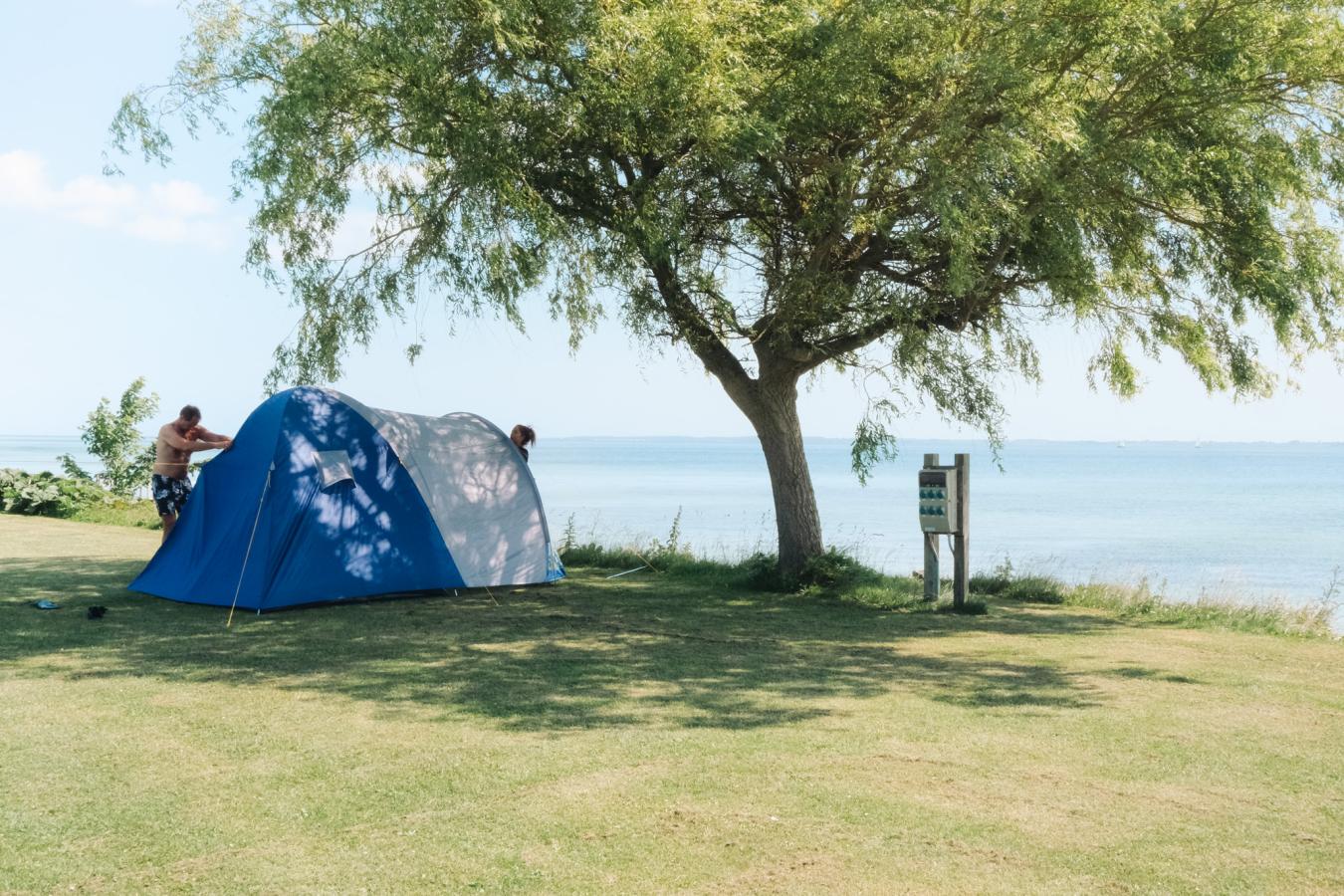 telt, sommer, campingplads, svendborg