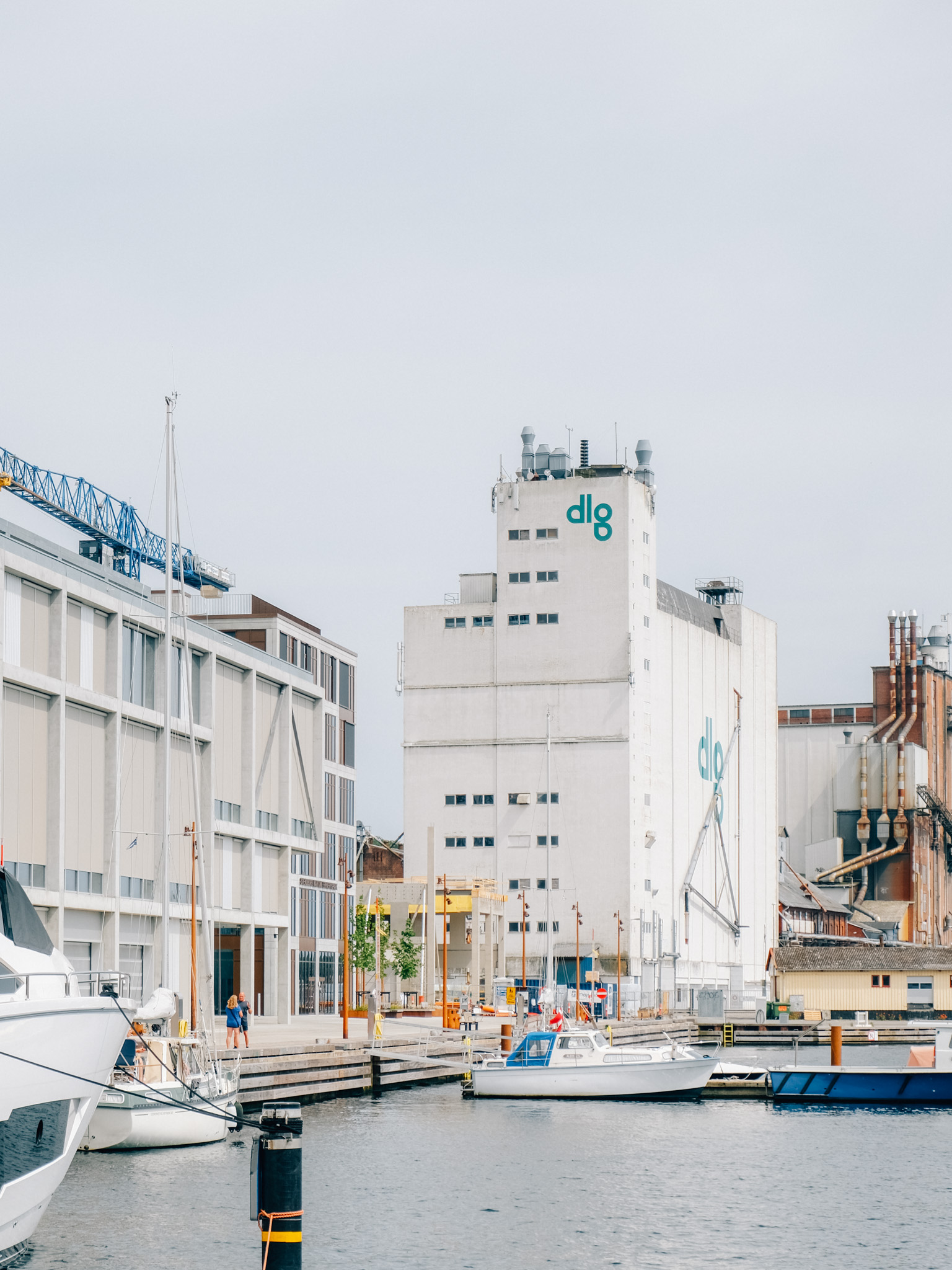 både i haven ved Svendborg