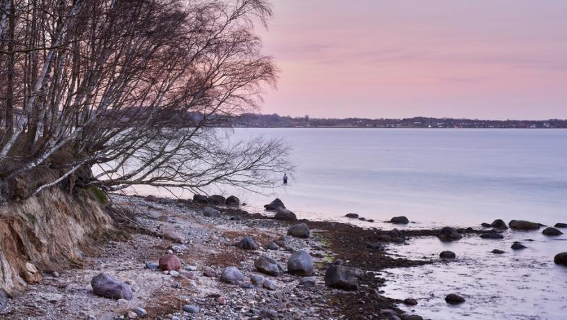 Thurø Østerskov landskab, en del af Geopark Det Sydfynske Øhav