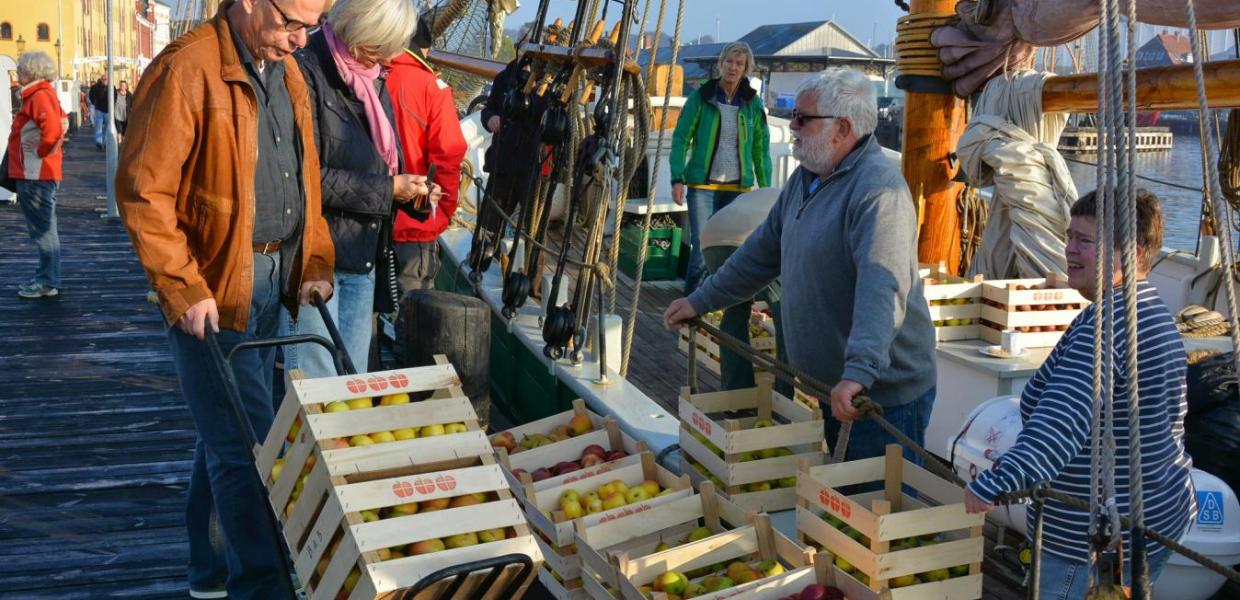 Apples on the harbour