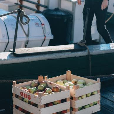 æbler, efterår, skibe, troense