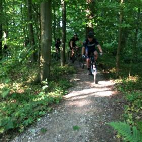 Mountainbike track bridge