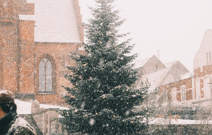 sne, vinter, juletræ centrum
